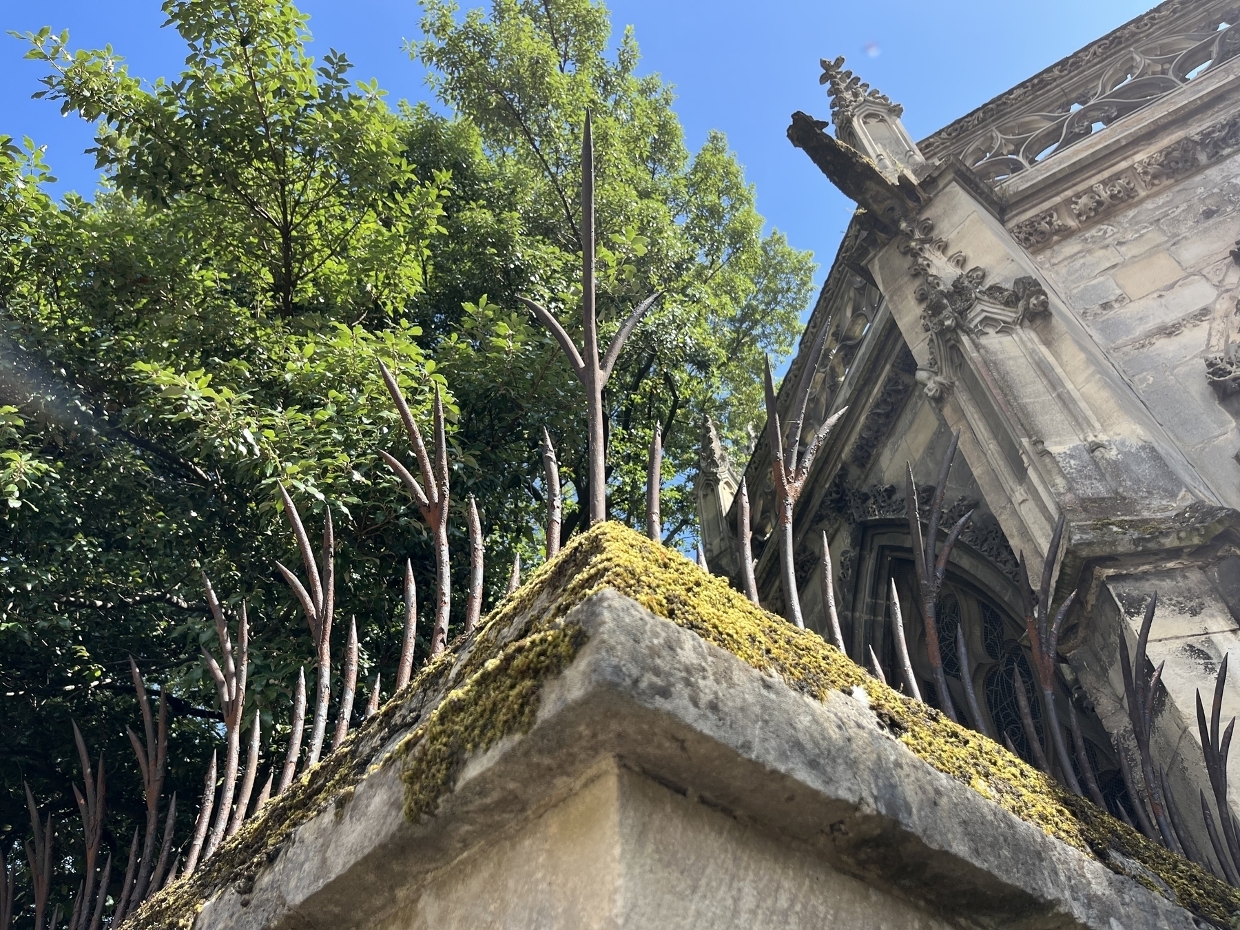 Several metal tripods sticking up out of a stone wall. The wall is covered in moss and on the right is a cathedral gargoyle and on the left is a leafy tree all against a blue sky. 