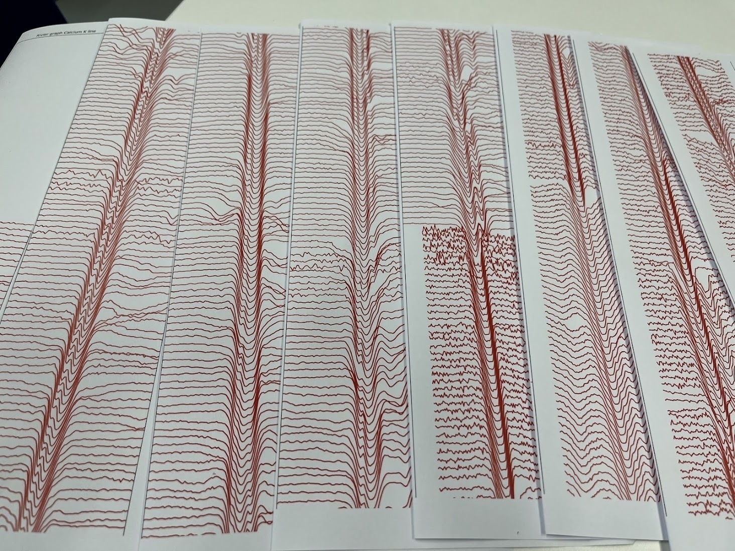 Several pieces of paper, with red lines drawn one on top of another, spread out down the page, exactly like the cover of the album "lost Pleasures" by Joy Division. ~There are several plots laid next to each other on the table, speaking volumes if only we can hear them.