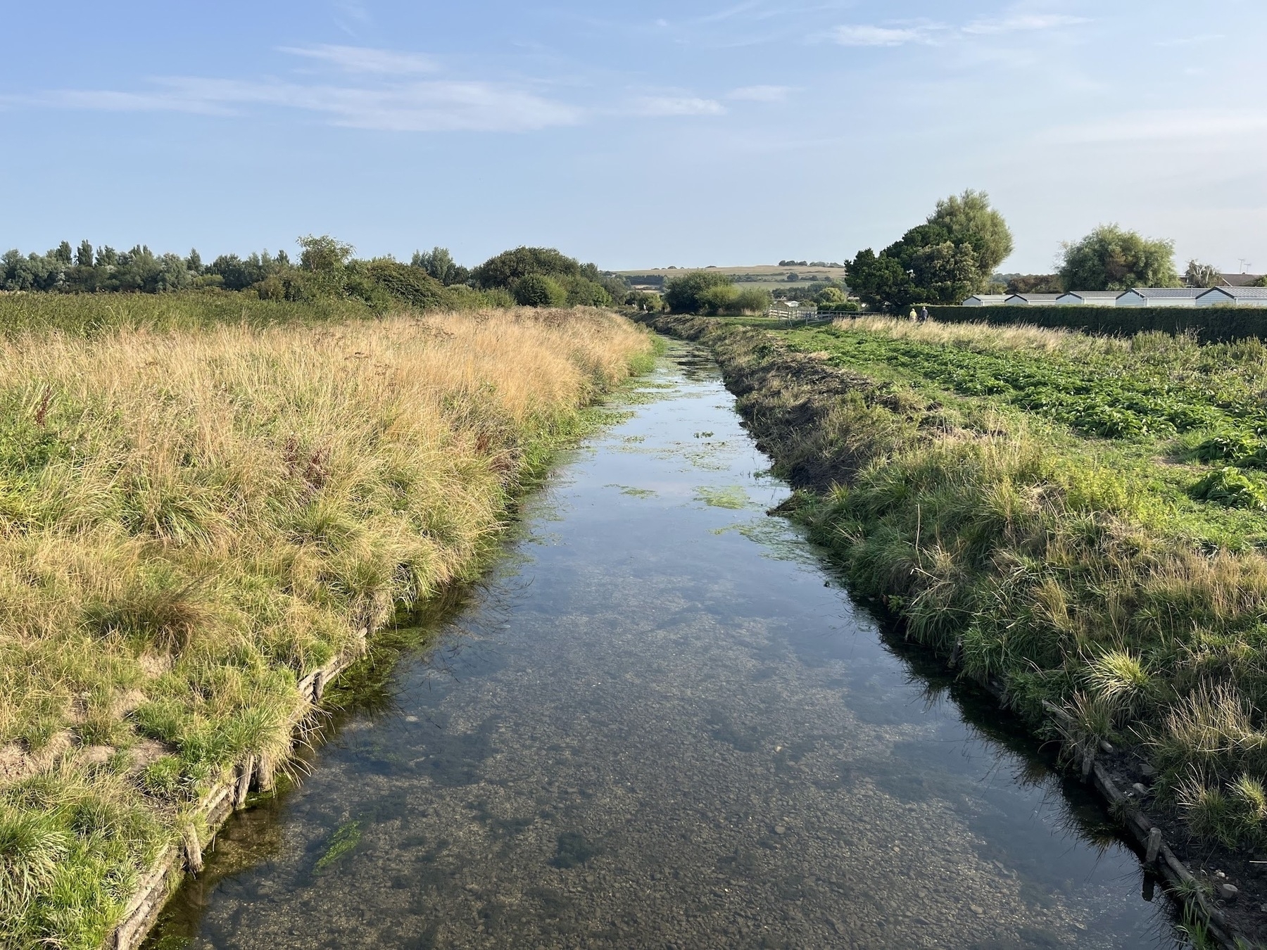 A clear small river in the bottom two thirds, with grassy banks on either side. In the distance, the low green rolling hills of the South Downs can be seen. Some trees are off to the right, and the blue sky is dotted with some clouds.