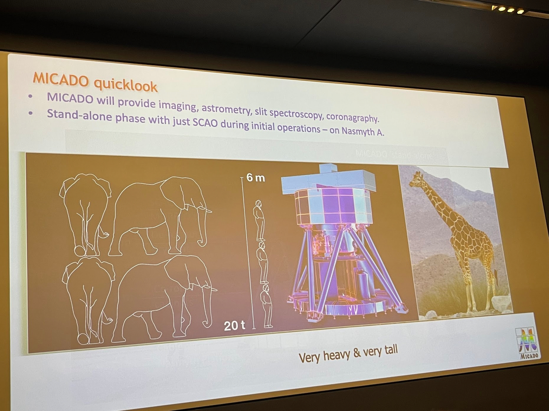 MICADO ELT instrument with mass and height compared to 4 Chilean Elephants and one German Giraffe in a slide from Eline Tolstoy.
