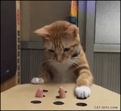Small ginger kitten trying to play whack a mole with nine holes out of which a human fingers appear and then disappear.