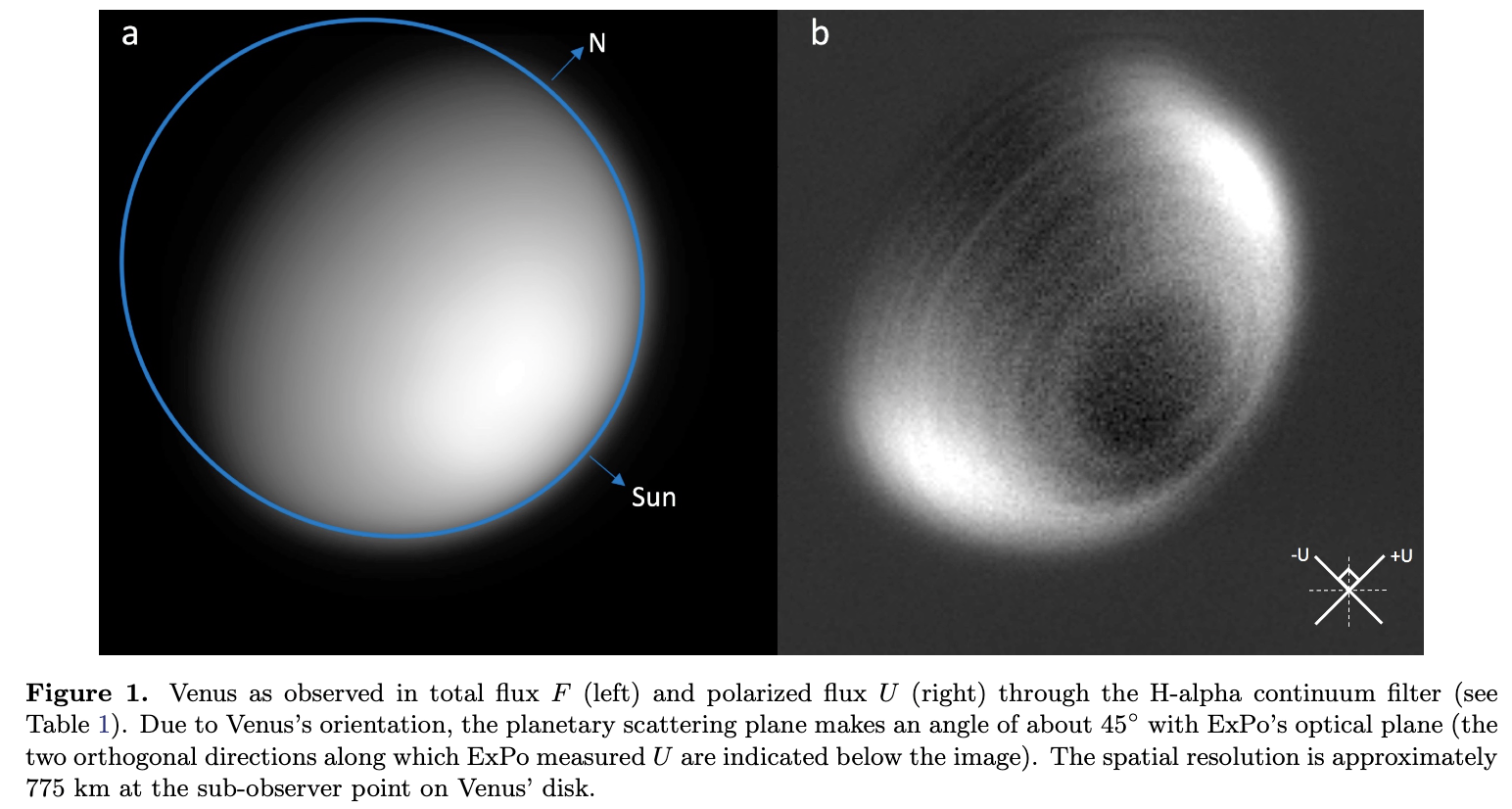 Two images of Venus, illuminated by the Sun from the lower right. The first image shows a smooth illuminated planet, similar to early ray tracing computer graphics simulations, the right hand image is an image of the degree of polarization and it shows the upper right and lower left are bright, and super imposed on this are a series of faint rings, alternating bright and dark, starting from the point on the planet pointing towards the Sun, and moving out in about eight concentric rings out to the terminator.
